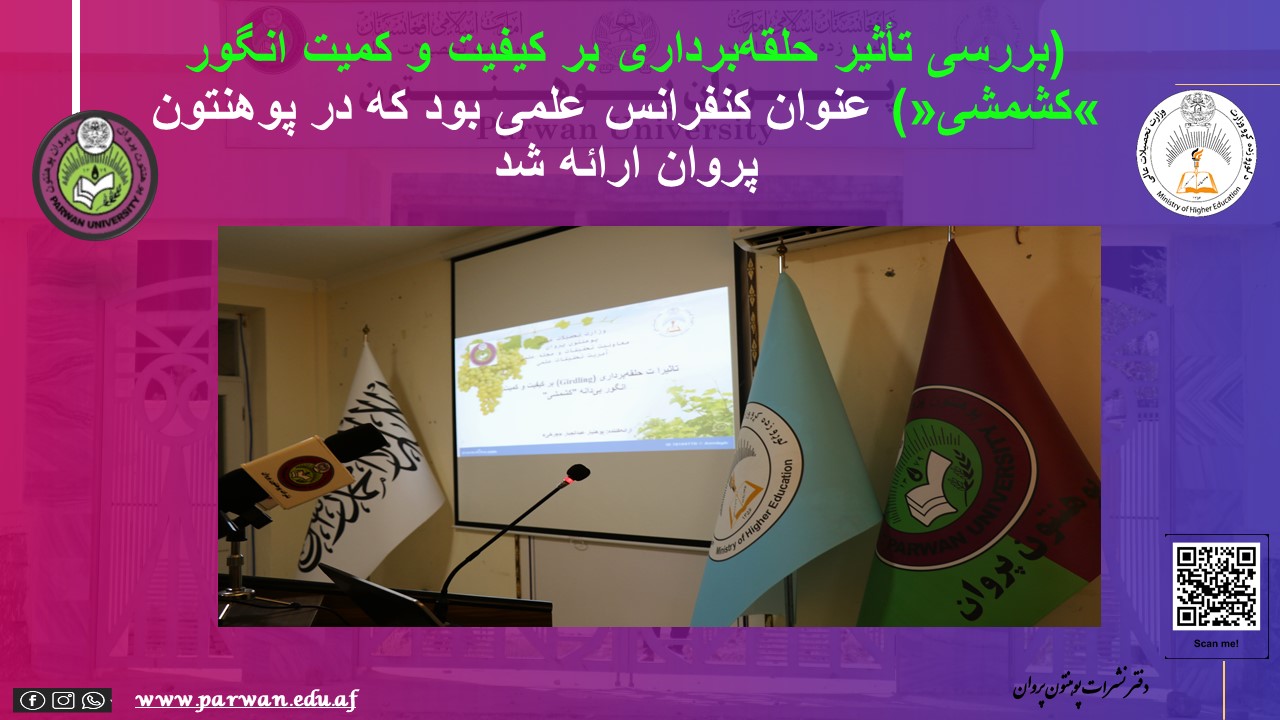 خبر