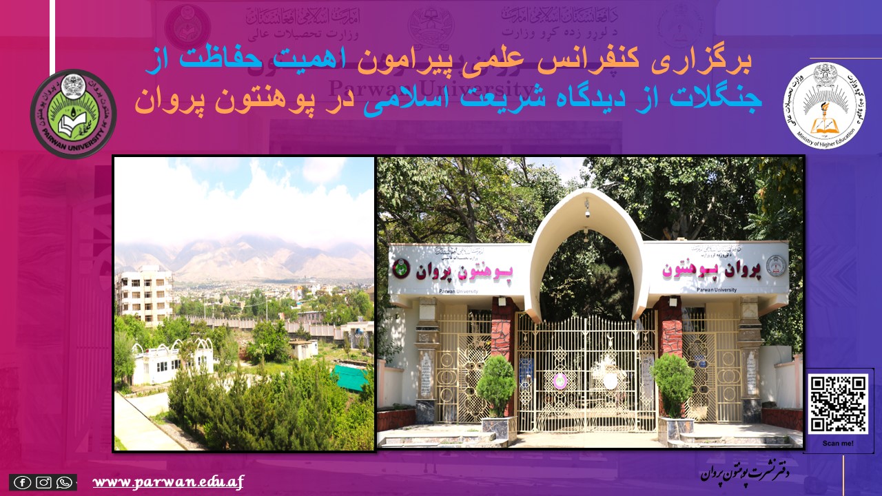 خبر