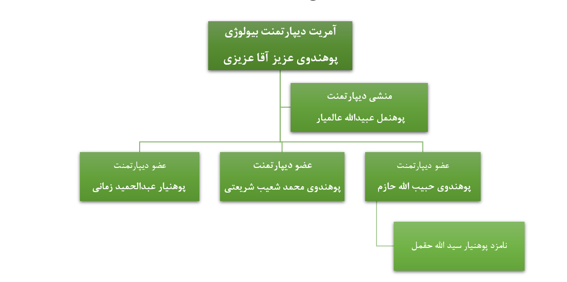 تشکیل